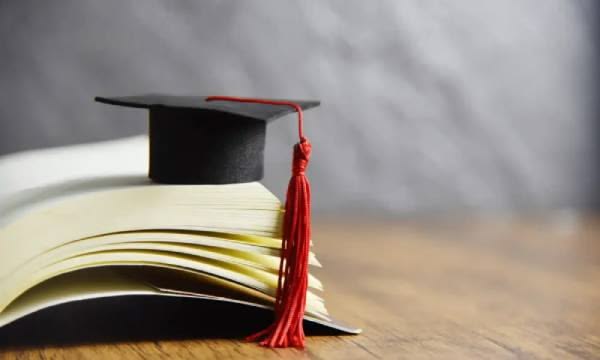 Our Courses