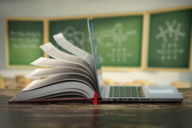 Our Courses